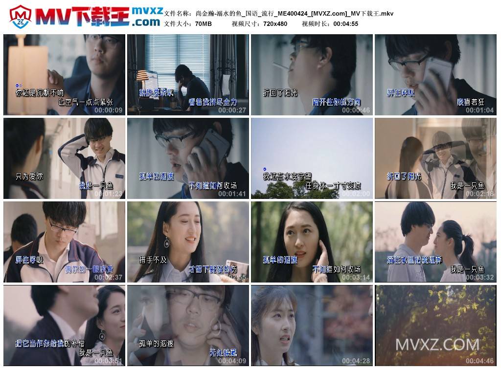 尚金瀚-溺水的鱼_国语_流行_ME400424